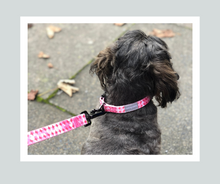 Load image into Gallery viewer, Candy Shop I Collar I Cotton Candy