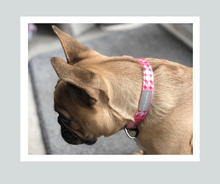 Load image into Gallery viewer, Candy Shop I Collar I Cotton Candy