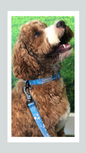 Load image into Gallery viewer, Candy Shop I Lead I Milky Way