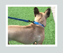 Load image into Gallery viewer, Candy Shop I Collar I Milky Way