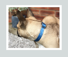 Load image into Gallery viewer, Candy Shop I Collar I Milky Way