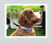 Load image into Gallery viewer, Candy Shop I Collar I Tutti Frutti