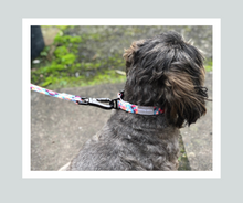 Load image into Gallery viewer, Candy Shop I Collar I Tutti Frutti