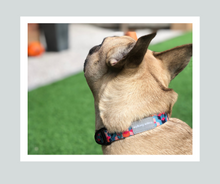 Load image into Gallery viewer, Candy Shop I Collar I Tutti Frutti